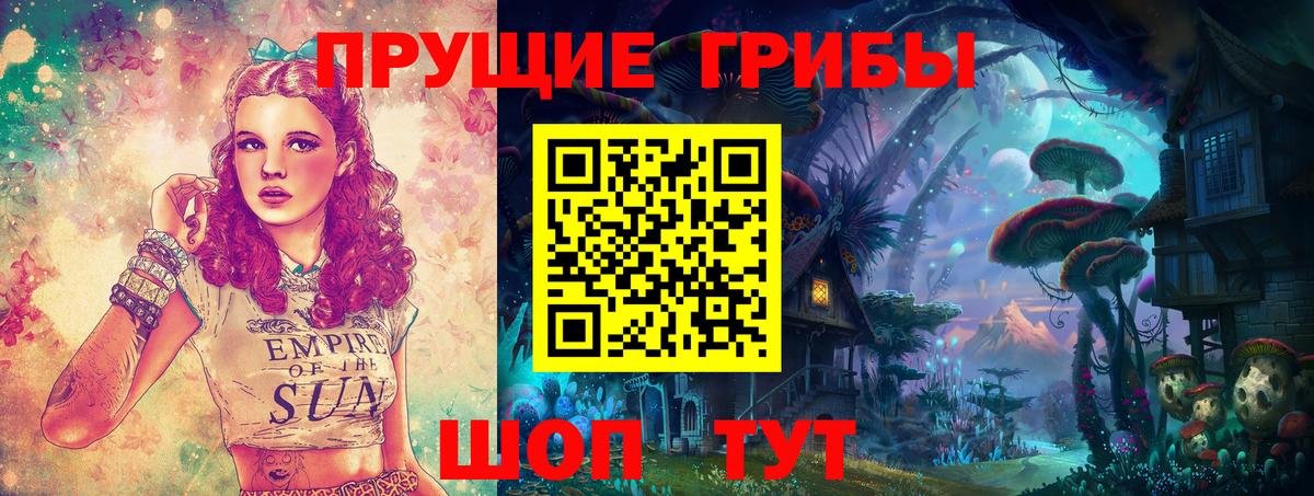 Псилоцибиновые грибы Magic Shrooms  где найти наркотики  Новозыбков  Вход с VPN 