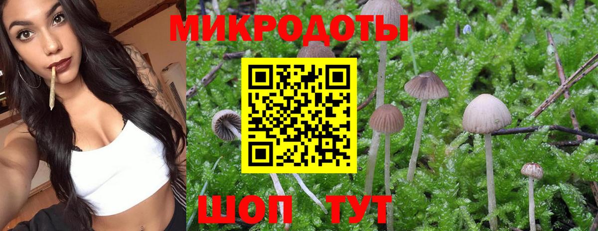 Псилоцибиновые грибы прущие грибы Новозыбков